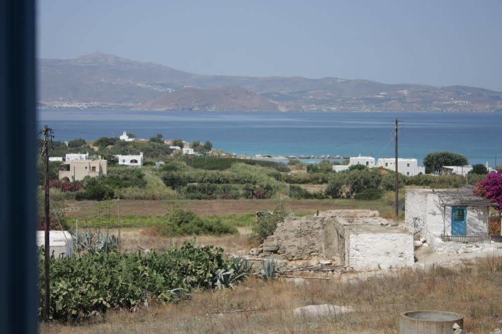 Kapares Studios Agia Anna  Luaran gambar